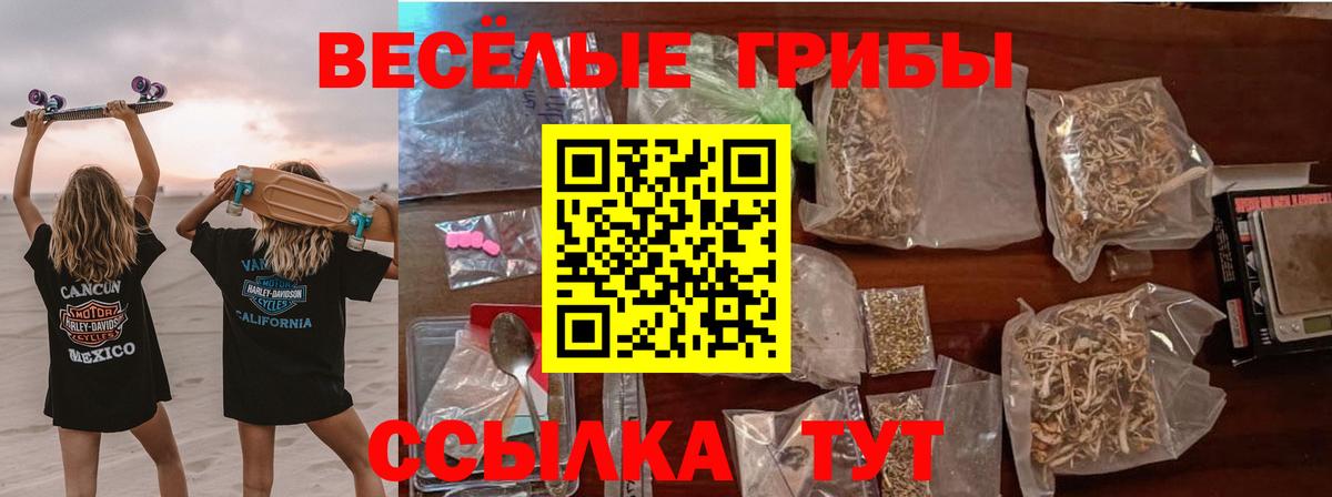 Псилоцибиновые грибы MAGIC MUSHROOMS  Вход с VPN  Партизанск 